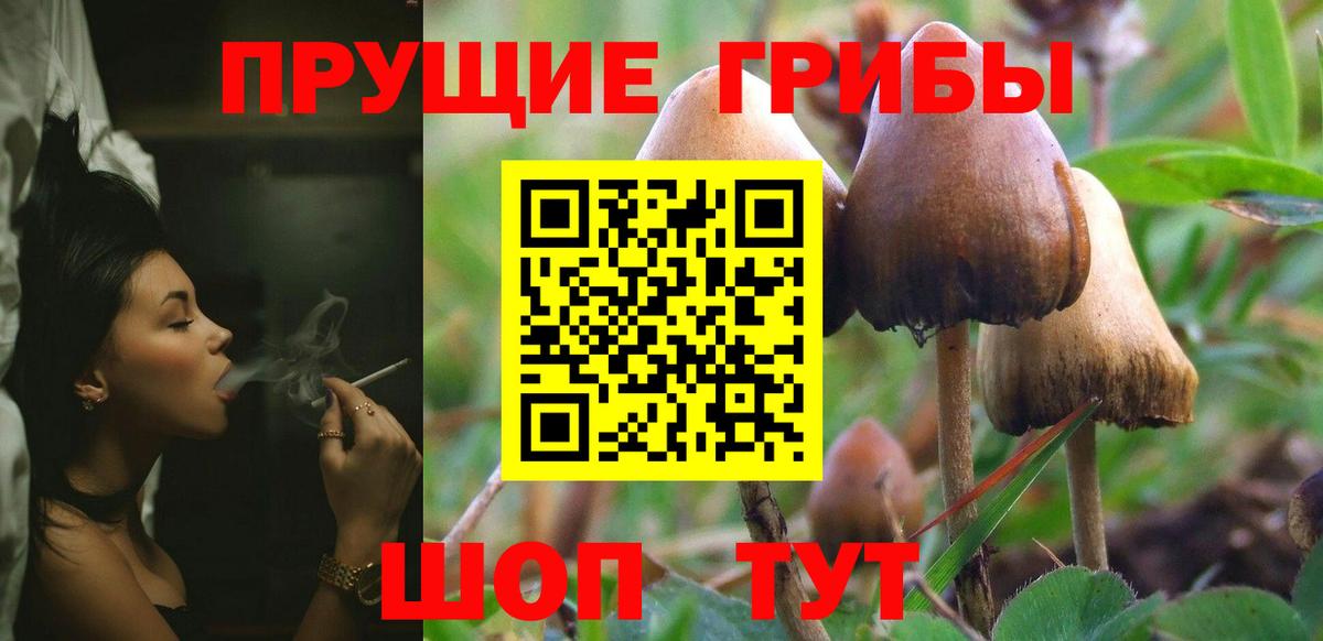 Киров  Псилоцибиновые грибы Psilocybe  Вход с VPN  Галлюциногенные грибы Magic Shrooms 